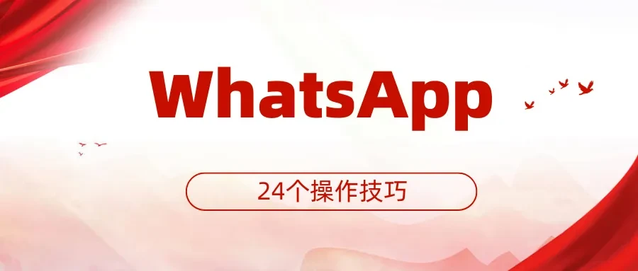 WhatsApp最新24个操作技巧，让你快速从入门到精通（上篇） - 哔哩哔哩