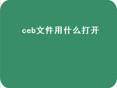ceb文件用什么打开（CEB文件用什么打开可以查看）