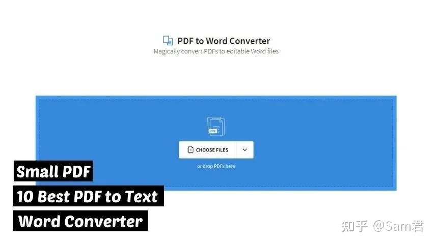 10 个最好的免费 PDF 转 Word 转换器