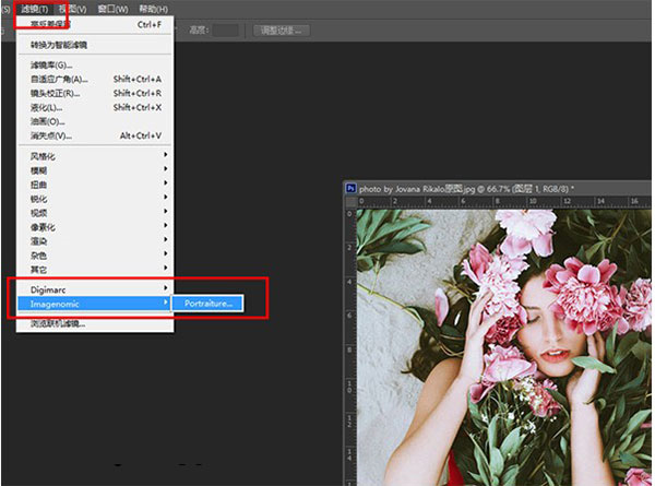 Portraiture(PS人像润色滤镜) V2.3.4汉化破解版