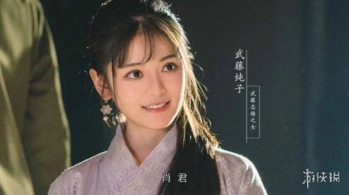 隐形守护者女主结局汇总：庄晓曼 方敏 陆望舒 顾君如 武藤纯子