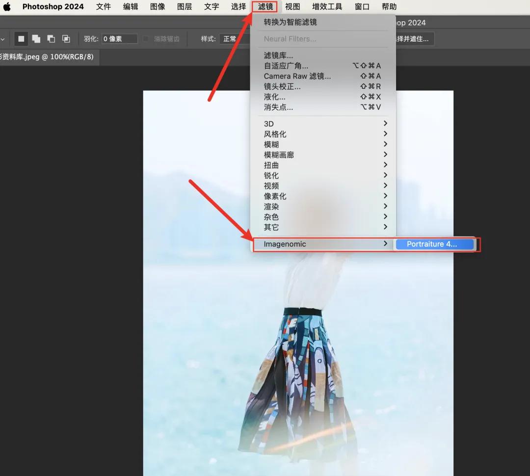新增商业级质感磨皮插件Portraiture 4.5 WIN+MAC 中文版PS 超强后期