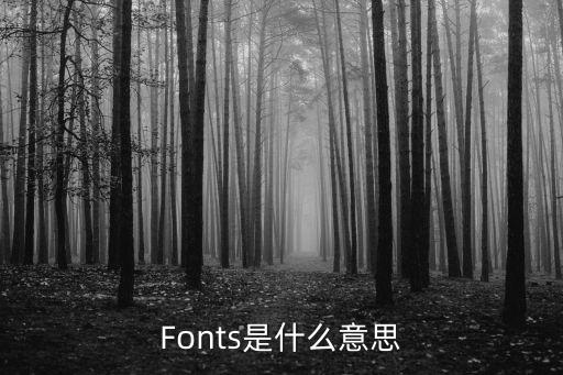 fonts，fonts是什么文件夹可以删除吗