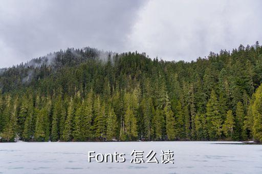 fonts，fonts是什么文件夹可以删除吗