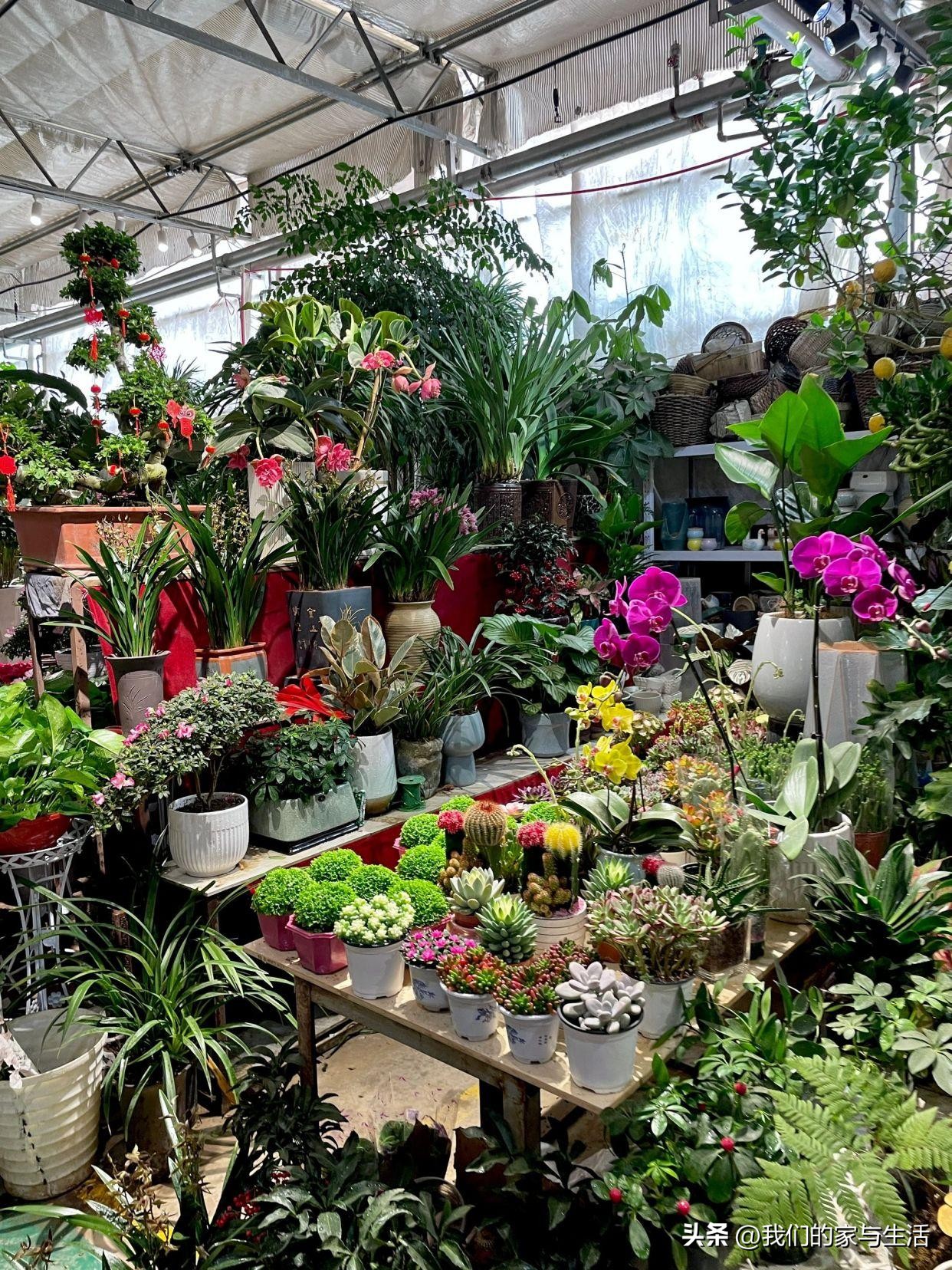 再没钱，也千万不要在网上买这4样“东西”，看完真得挺后怕的！