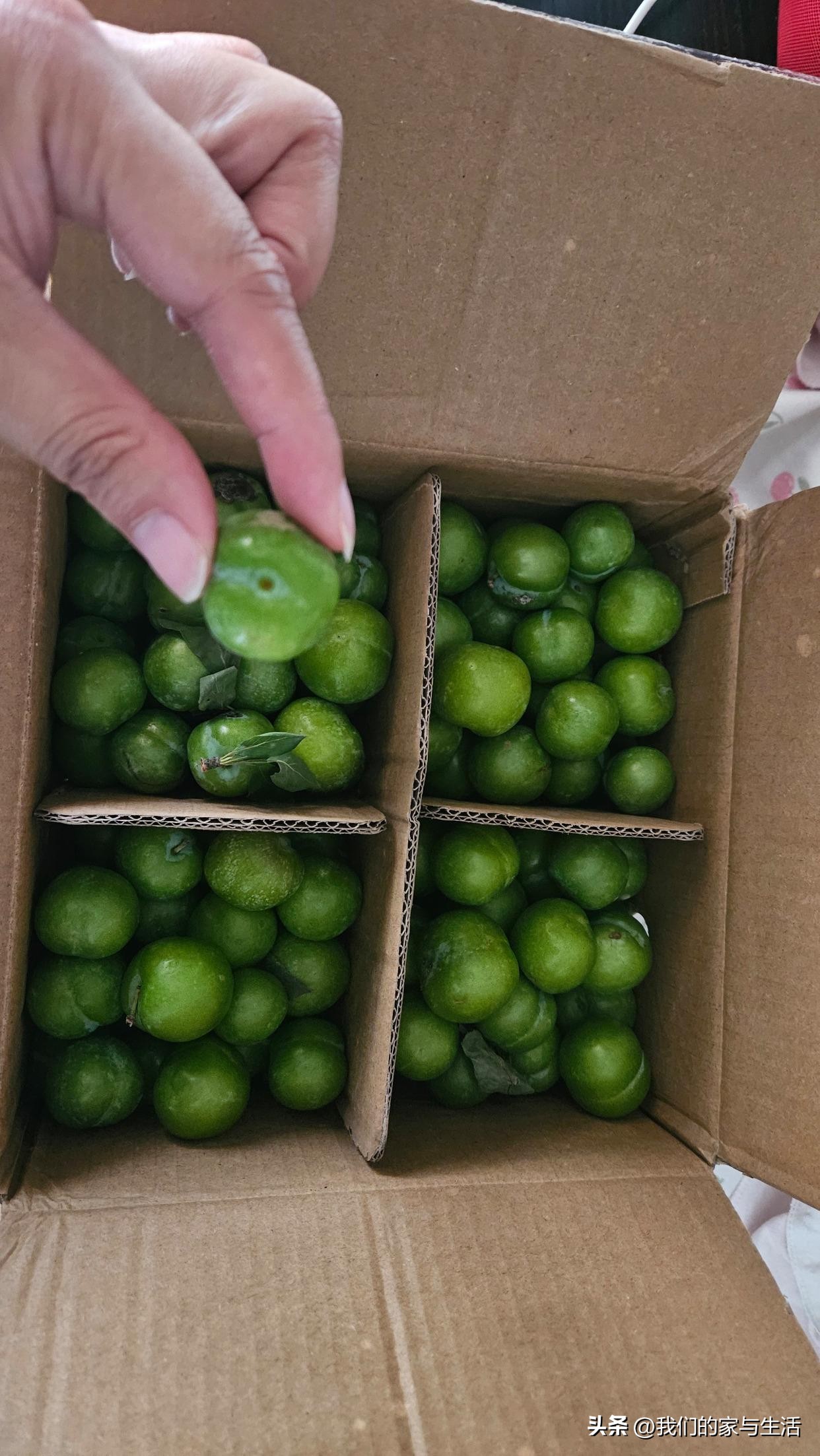 再没钱，也千万不要在网上买这4样“东西”，看完真得挺后怕的！