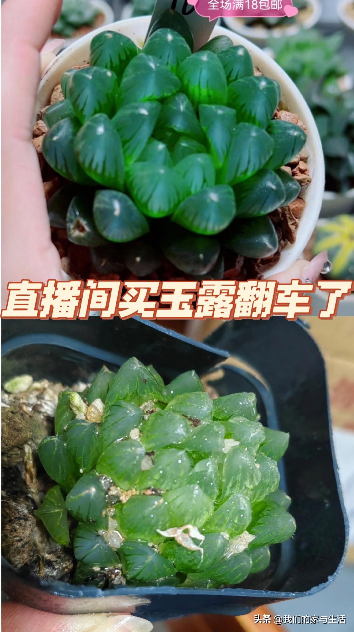 再没钱，也千万不要在网上买这4样“东西”，看完真得挺后怕的！