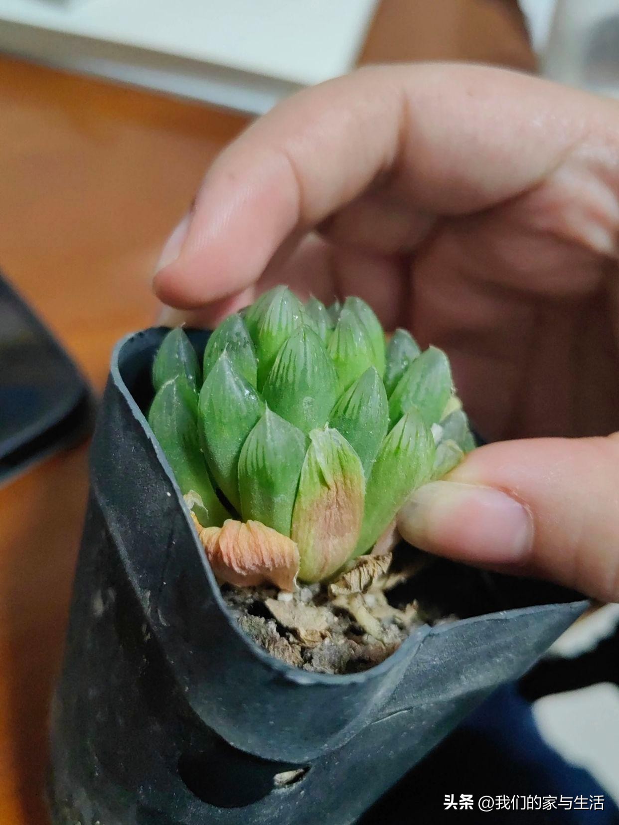 再没钱，也千万不要在网上买这4样“东西”，看完真得挺后怕的！