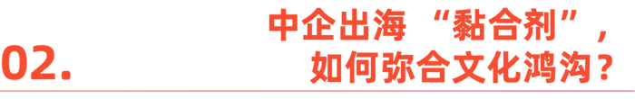 2025，毕业生 “卷” 向出海
