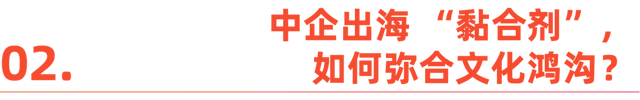 2025，毕业生 “卷” 向出海