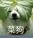 满屏黑丝美腿！曾经最火的搞机社区，变味了