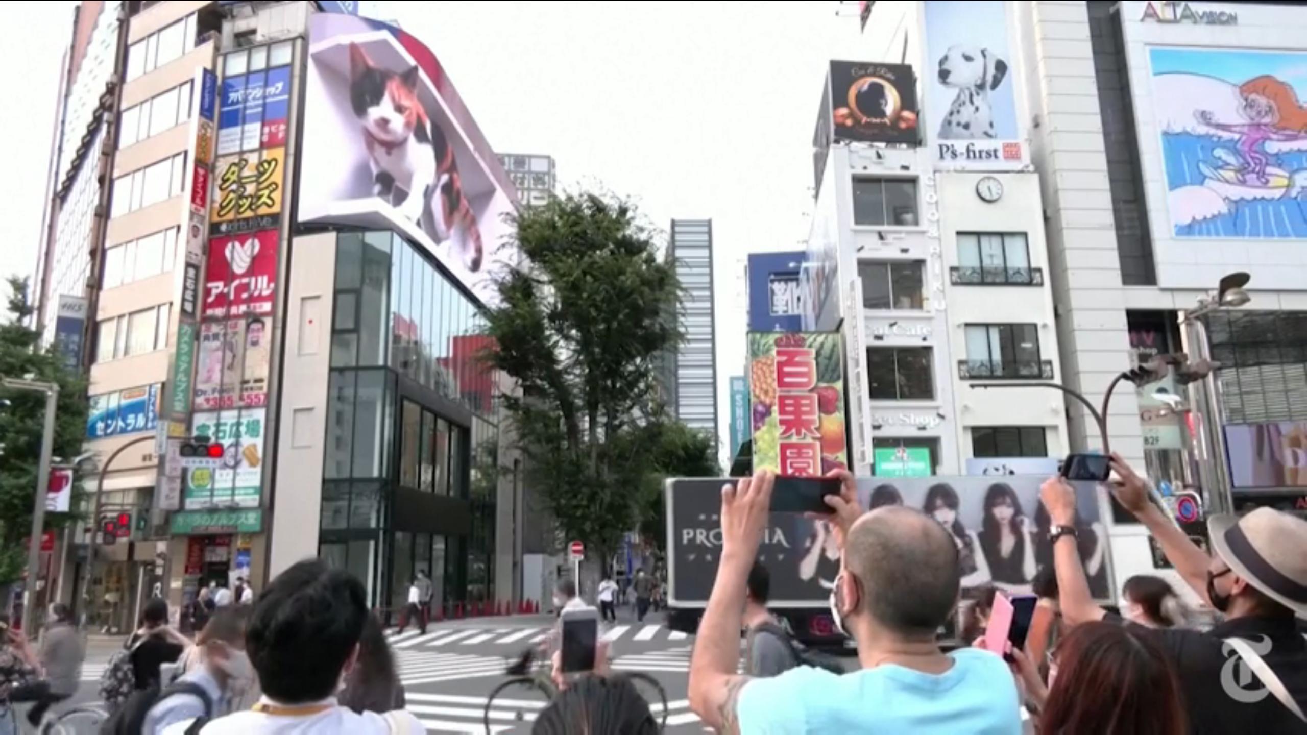 “萌”化人心：巨型3D猫咪亮相日本街头