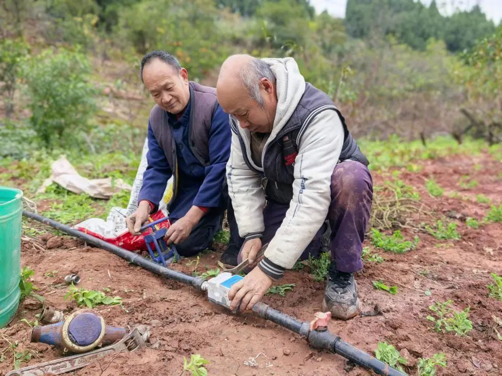 一刷卡就出水!龙泉驿农田灌溉“开”启智能模式
