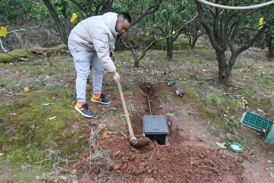 一刷卡就出水!龙泉驿农田灌溉“开”启智能模式