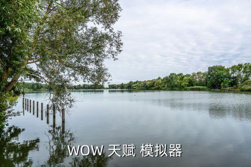 wow天赋模拟器,如何安装和使用wow天赋模拟器?