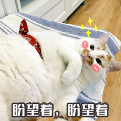 这几个高质量的手机办公App，个个好用，帮你在手机上高效办公