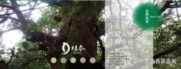 刚入门的小白怎么选择精油？（品质精油品牌大全）