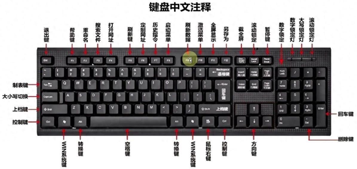 零基础学电脑必备：键盘中文注释大全，新手快速记键位
