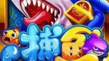 windows电脑没有有效IP配置，连不上网怎么办？