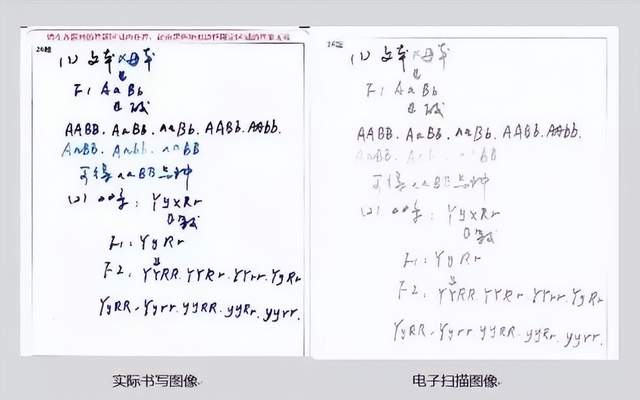 注意!学考答题卡这样填,直接0分!