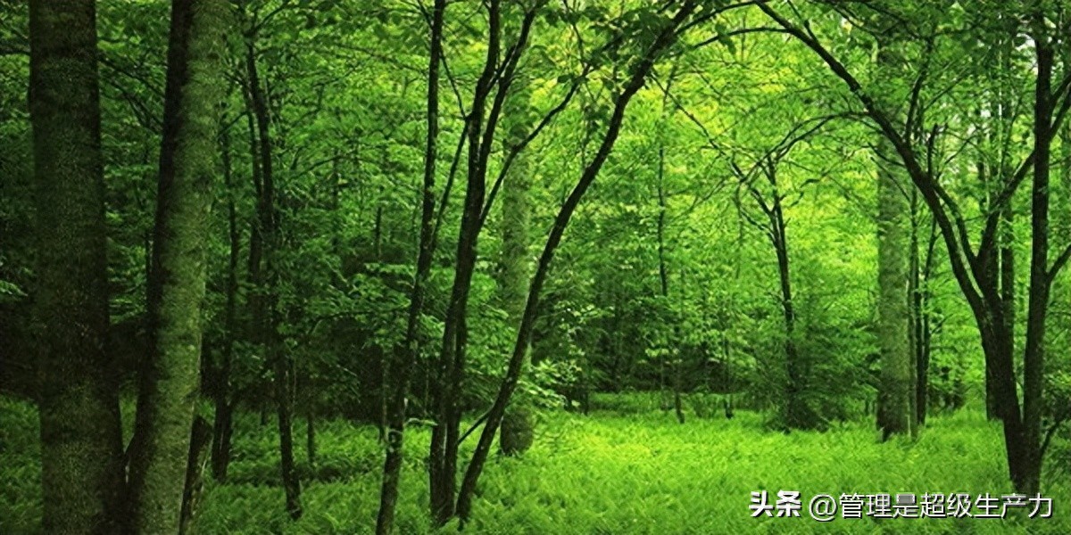 如何实现从“流程图”到“流程执行”？