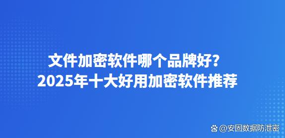 文件加密软件哪个品牌好？2025年十大好用加密软件推荐