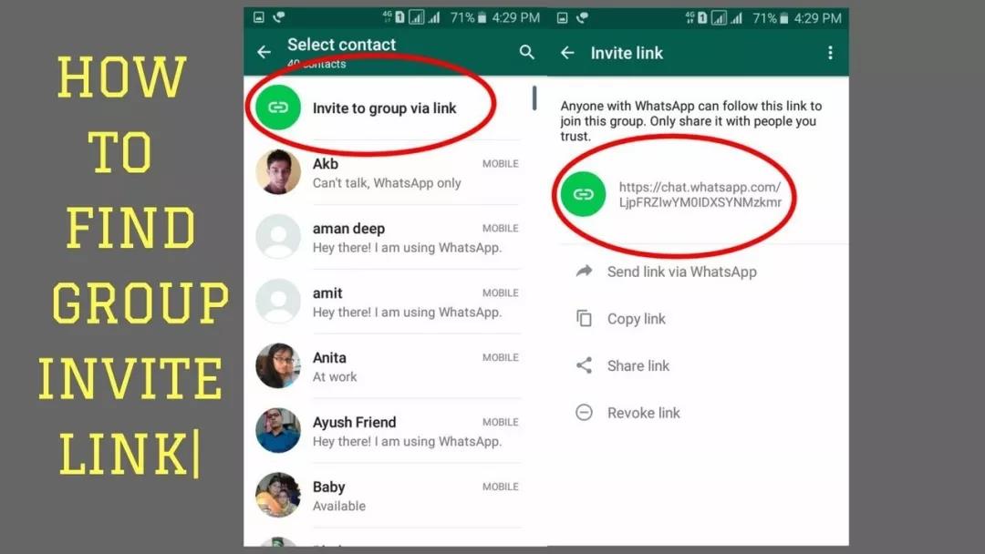 whatsapp的详细攻略和玩法