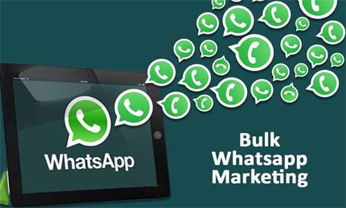 Whatsapp国际版安装包下载-Whatsapp国际版安装包手机app安卓版免费下载安装 v2.23.25.73