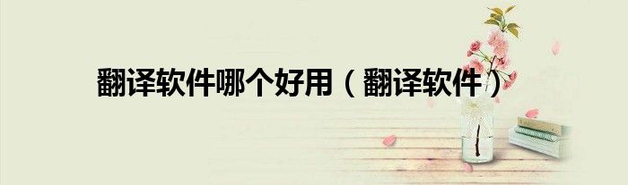翻译软件哪个好用（翻译软件）