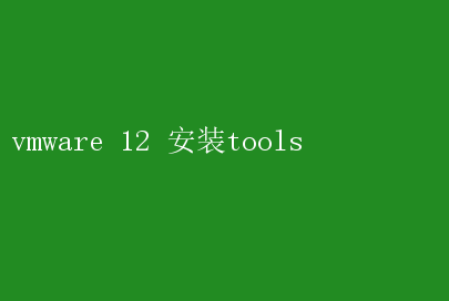 VMware 12安装指南：轻松搞定VMware Tools安装步骤