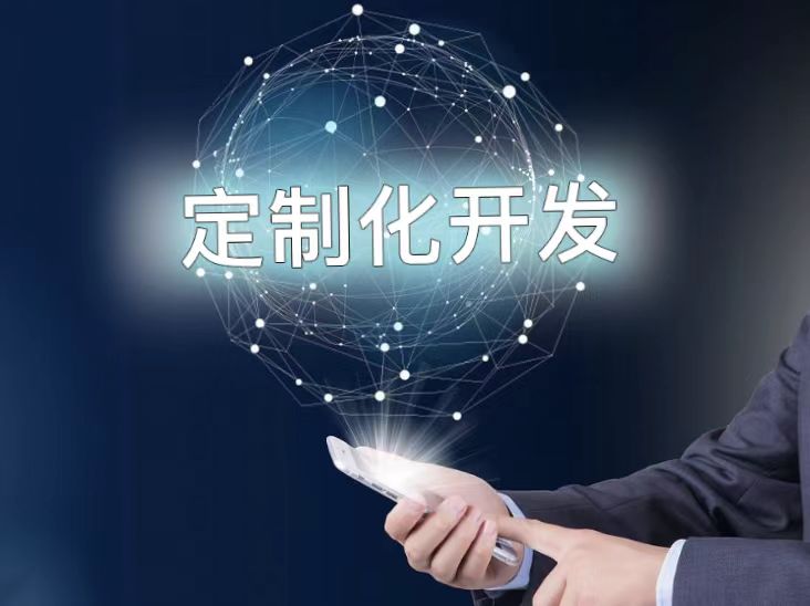 定制软件开发存在物美价廉吗?