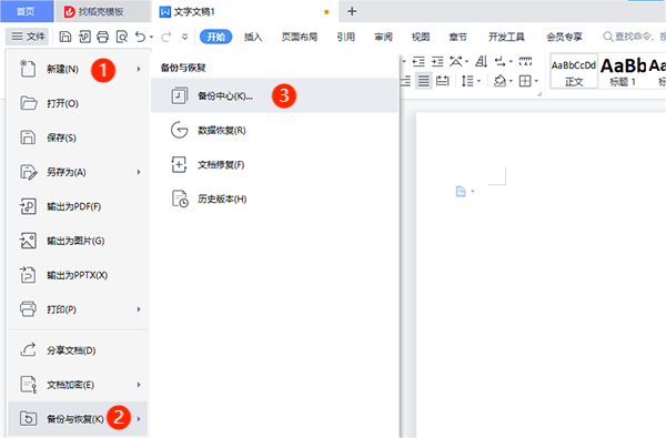 WPS Office 2023专业破解版下载 内置激活码 电脑版
