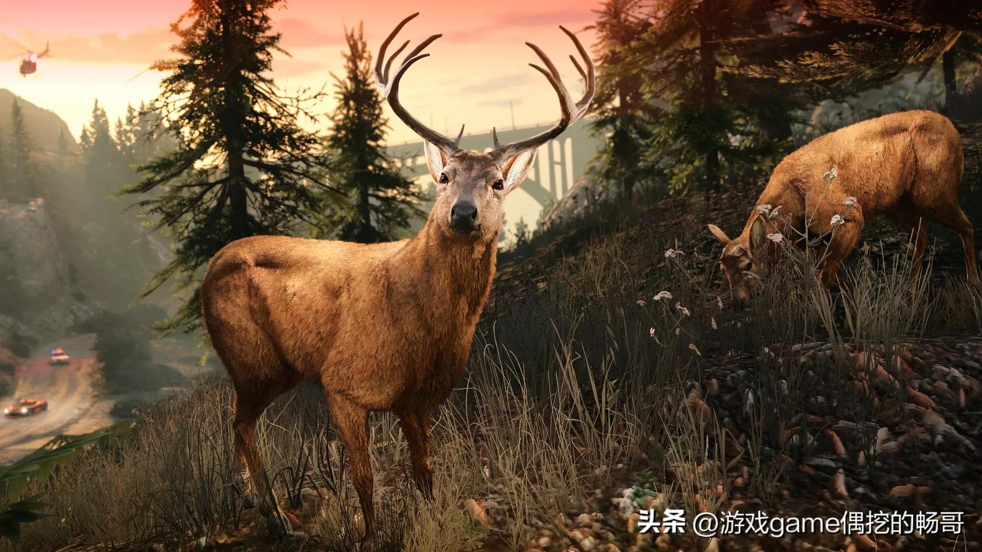 《GTA5》增强版成Steam最差GTA？R星翻车实录！玩家怒喷！