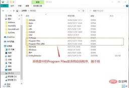 program files是什么文件夹