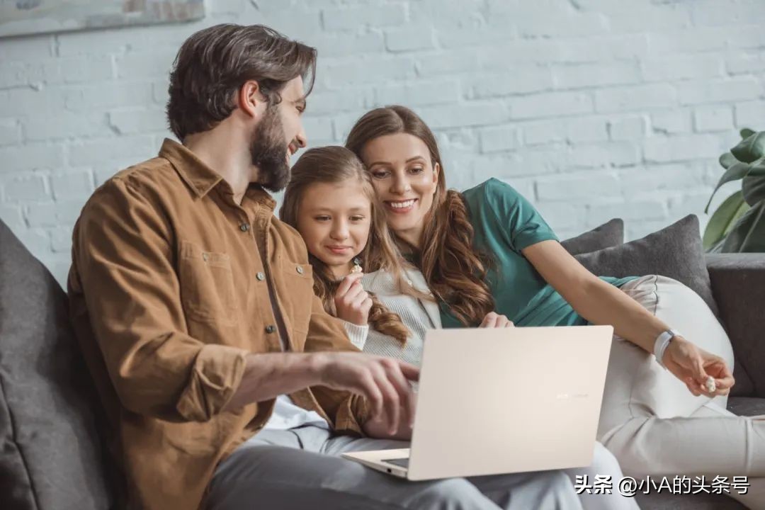 Windows 11文件夹共享指南,从设置到访问一篇搞定