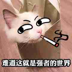 word打开很慢怎么解决(怎么提升Word文档的启动速度)