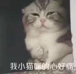 再见WPS!微软新出的免费Office软件,我一用就爱上了