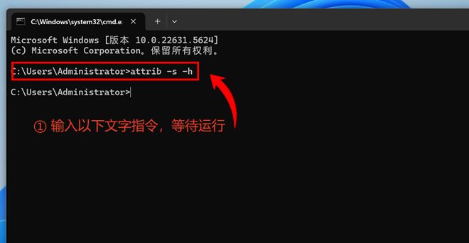隐藏文件夹怎么显示？5种方法让你的隐藏文件无处遁形