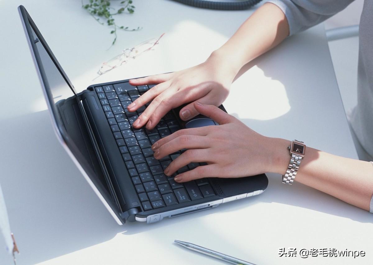 体验最好的PE系统是什么?细说这4大常用PE,哪个才是你的菜?