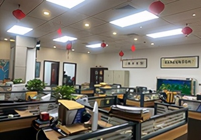 公司法的特点