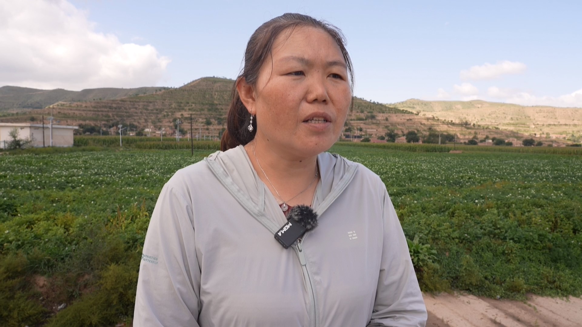 马铃薯生长关键期，会宁用无人机喷药防病害，增产有保障