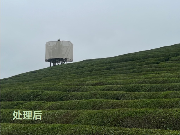 照片里的“杂物”太抢镜？扫描全能王“智能擦除”功能助你清除干净
