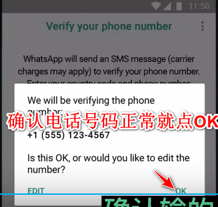 whatsapp安卓下载安装
