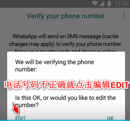 whatsapp安卓下载安装
