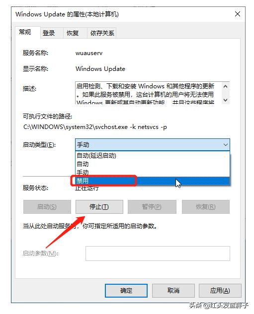 一键彻底关闭windows10和Win11自动更新
