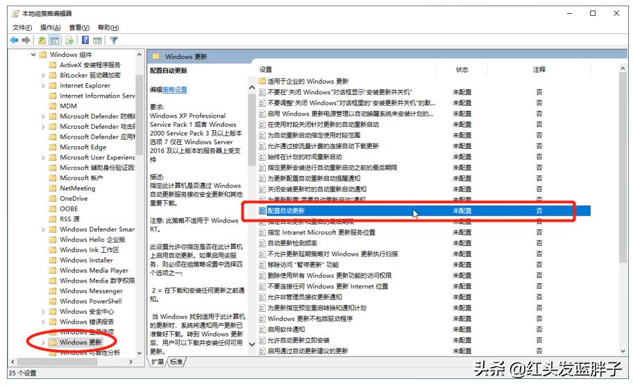 一键彻底关闭windows10和Win11自动更新