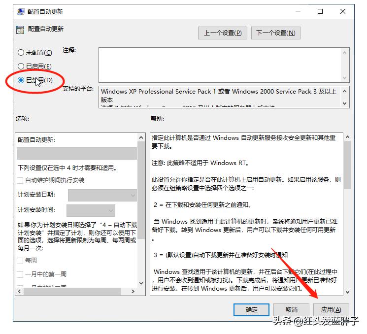 一键彻底关闭windows10和Win11自动更新