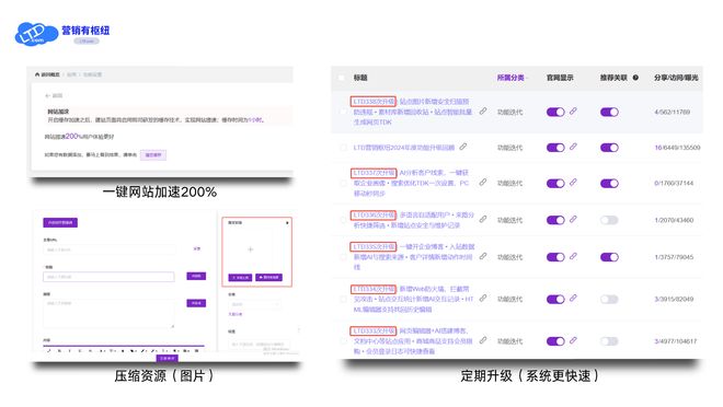 无需运维团队！LTD 智能站点让全球生意 “省心又赚钱”