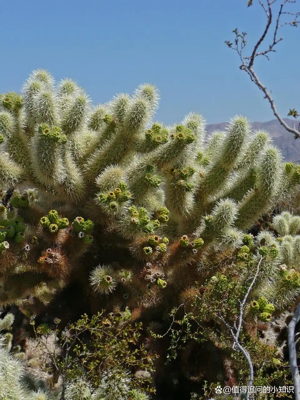 2026求职避坑攻略:面试后如何优雅地跟进结果?这份话术请收好