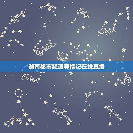 湖南都市频道寻情记在线直播，湖南都市频道寻情记20160527下集